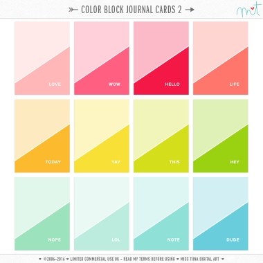 Color Block Journal Cards 2 CU