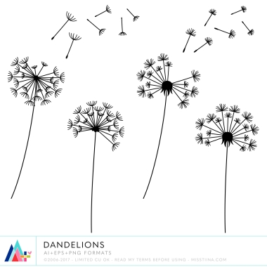 Dandelions CU
